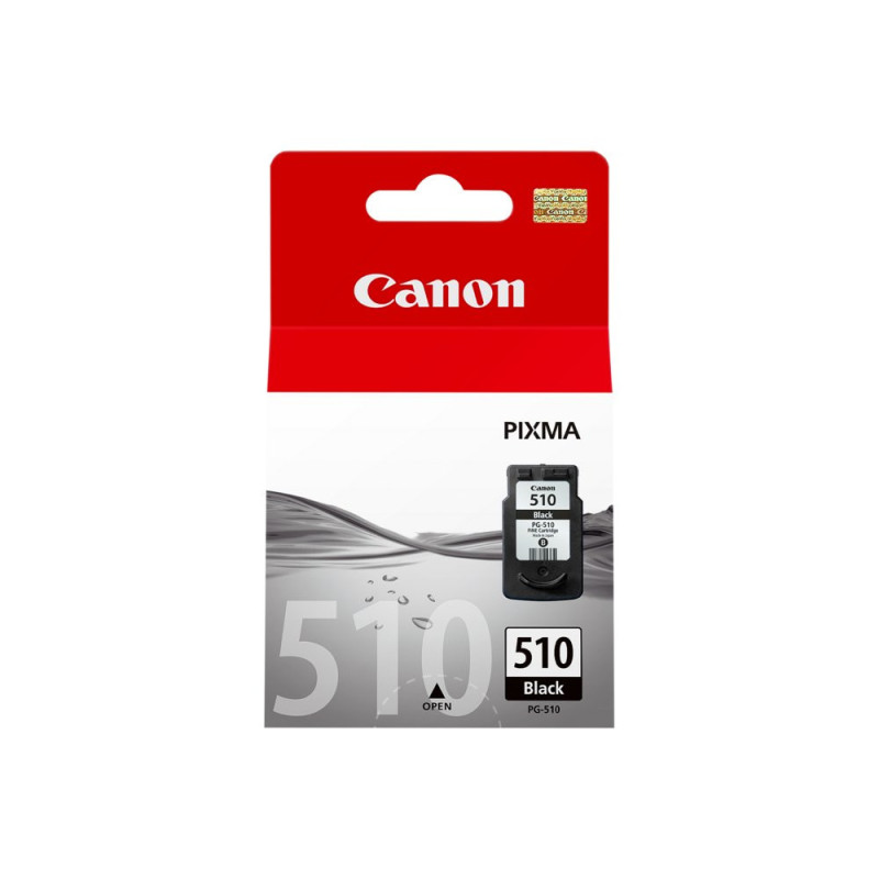 Canon 2970B001  Originele Foto Zwarte Inktcartridge