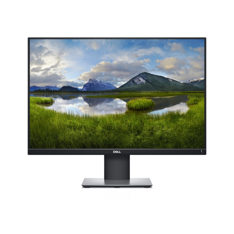 DELL P2421 24.1  1920 x 1200 IPS  60Hz  Monitor