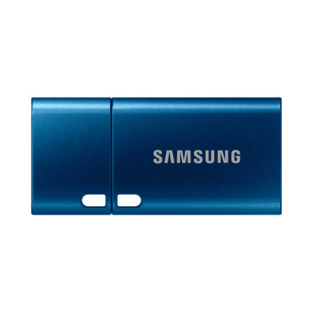 Samsung MUF-256DA  256GB USB-C 3.2 Flash Drive  Blauw